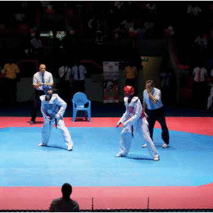 PRO 30078 TATAMI OCTOGONAL
