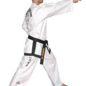 TA 10815 DAEDO ITF ASSISTANT INSTRUCTOR (CE)