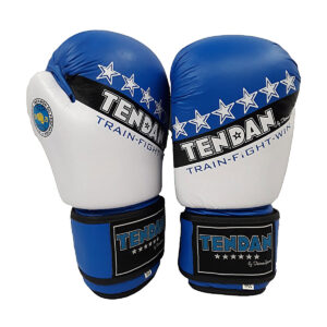 TEN DAN BOXING GLOVES LEATHER APPROVED E.I.T.F. 10oz | BOXING GLOVES 10oz. APPROVED NEW DESIGN LEATHER