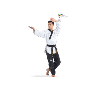 Poomsae “DAN” men