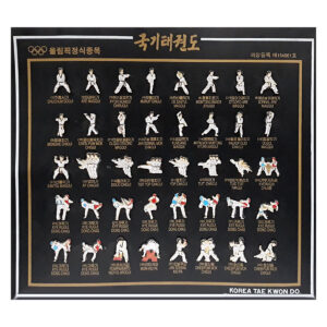 Korea Tae Kwon Do Moves