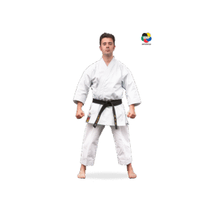 KARATEGI "BUNKAI MASTER"