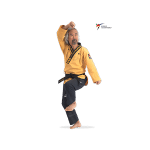 Grand Master Poomsae Dobok With Phoneix Embroidery