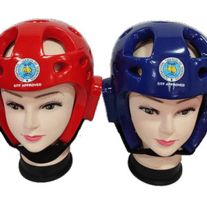 TEN DAN HEADGEAR EITF APPROVED